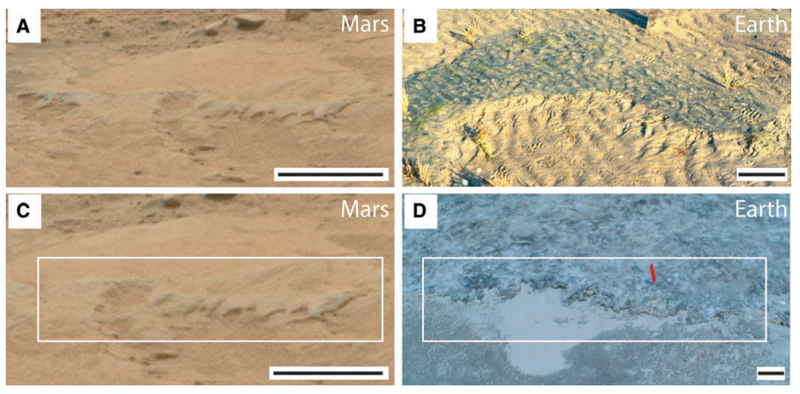 Illustration for article titled This Curiosity Image Suggests Microbial Life Once Existed On Mars